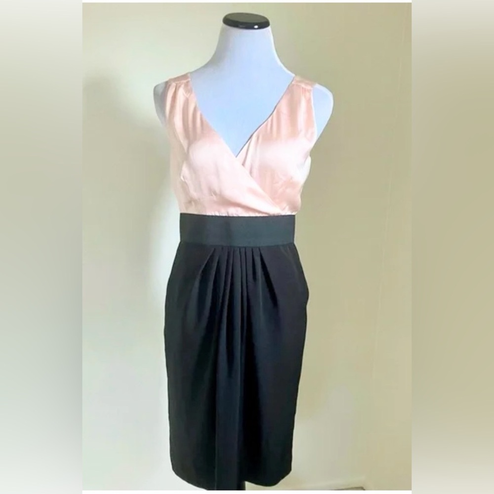 Le Chateau Pink and Black Dress